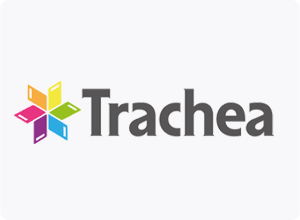 Trachea