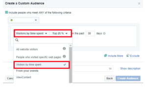 custom audience
