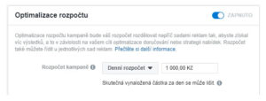 1. OPTIMALIZACE ROZPOČTU